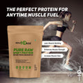 high impact whey protein